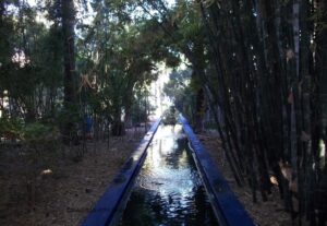 Jardin Majorelle 